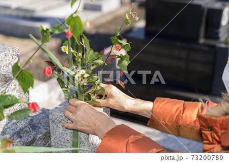 墓参り お墓に花を供えるシニア女性 墓参り お墓に花を供えるシニア女性 73200789