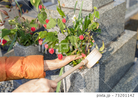 墓参り お花に水をやる 73201142