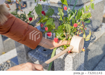 墓参り お花に水をやる 73201143