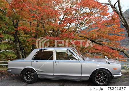 旧車と秋の紅葉 旧車と秋の紅葉 73201877