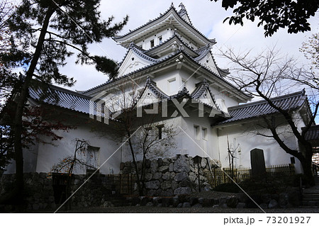 晩秋の岐阜　大垣城 73201927