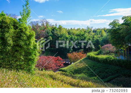 京都市洛西竹林公園 京都市洛西竹林公園 73202093