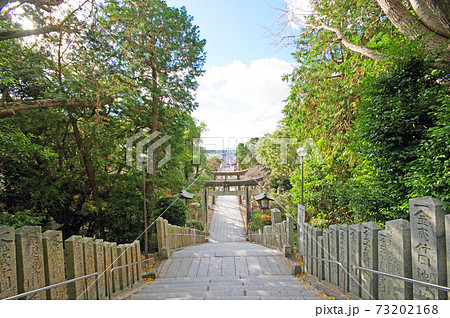 光の道ができる福岡県福津市の宮地嶽神社参道 73202168
