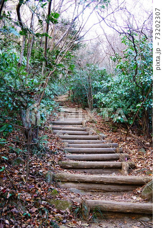 筑波山　薬王院コース登山道　長い階段 73202307