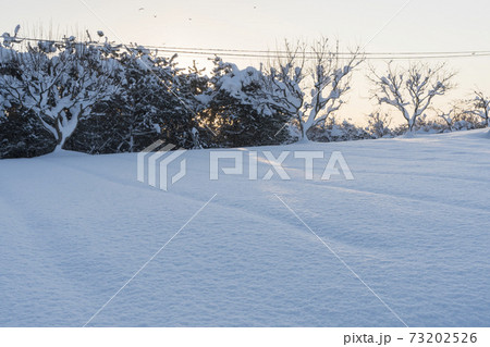 冬 山 雪景色 73202526