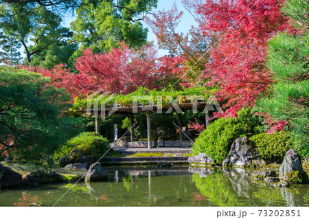 京都　城南宮の紅葉　室町の庭 73202851