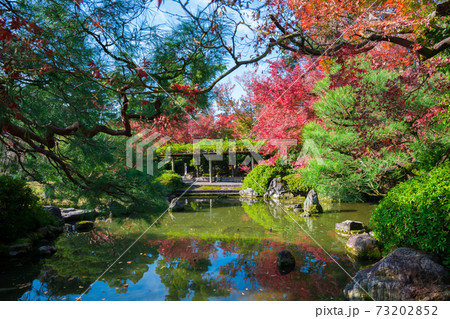 京都　城南宮の紅葉　室町の庭 73202852