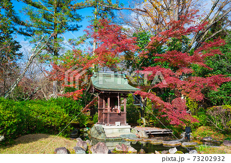 京都　広隆寺の紅葉　 73202932
