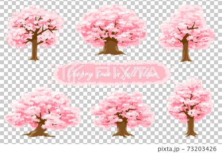 満開の桜の木のバージョンのイラスト素材 [73203426] - PIXTA