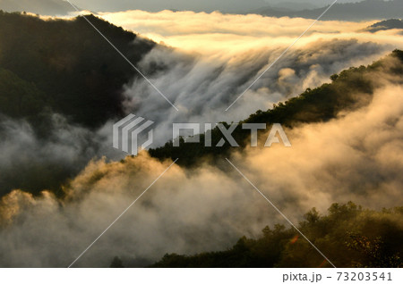 日本一身近に見れる銀山枝折峠の雲海・滝雲 73203541