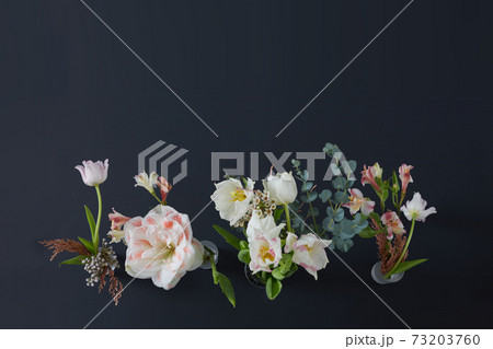Blooming flowers with pleasant aroma on black background 73203760