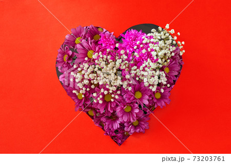 Chrysanthemum bouquet for Valentines Day on red background Chrysanthemum bouquet for Valentines Day on red background 73203761