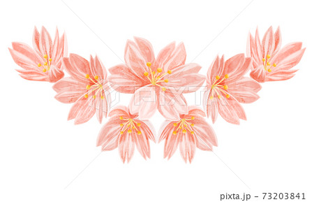 桜の花の水彩風手書きイラスト 桜の花の水彩風手書きイラスト 73203841