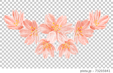 桜の花の水彩風手書きイラスト 桜の花の水彩風手書きイラスト 73203841