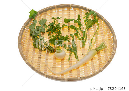 七草 春の七草 七草がゆ 七草粥 七草粥セット 七草セット 七草 春の七草 七草がゆ 七草粥 七草粥セット 七草セット 73204163