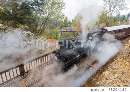 Morning view of the Yoshino cherry tree blossom and railway Morning view of the Yoshino cherry tree blossom and railway 73204182