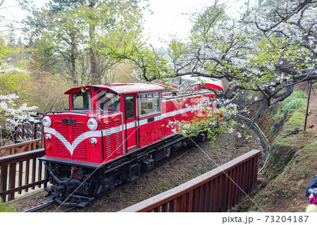 Morning view of the Yoshino cherry tree blossom and railway Morning view of the Yoshino cherry tree blossom and railway 73204187