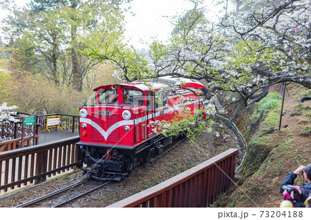 Morning view of the Yoshino cherry tree blossom and railway Morning view of the Yoshino cherry tree blossom and railway 73204188