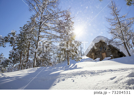 晴れた日の雪に覆われたロッジ 晴れた日の雪に覆われたロッジ 73204531