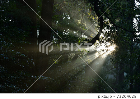 伊勢神宮より 伊勢神宮より 73204628