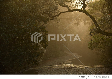 伊勢神宮より 73204681