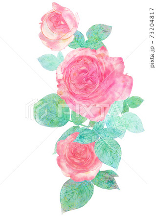 美しいバラの日本画風手書きイラストのイラスト素材