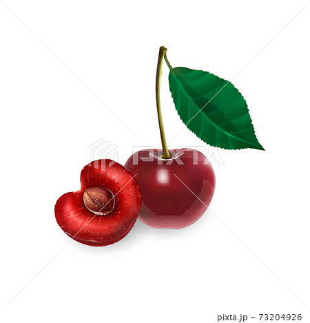 Cherry On A Stem With Leaf And Half With Pit のイラスト素材