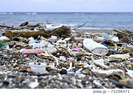奄美大島の海岸に漂着するマイクロプラスチックごみ 73206471