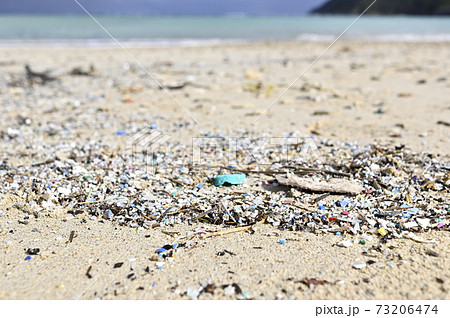 奄美大島の海岸に漂着するマイクロプラスチックごみ 73206474