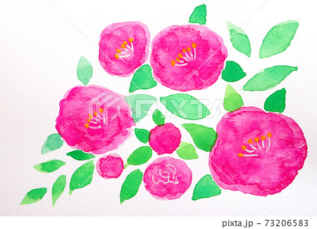 山茶花のイラスト素材 7365