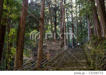 飛瀧神社参道 飛瀧神社参道 73206772