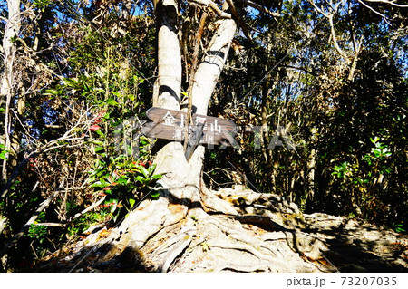 房総　花嫁街道　金比羅山 73207035