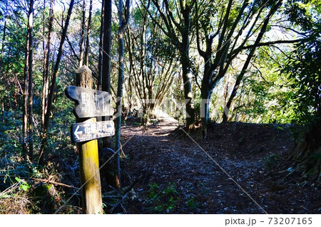 南房総 花嫁街道 烏場山 駒返し 南房総 花嫁街道 烏場山 駒返し 73207165
