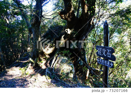 南房総　花嫁街道　烏場山　経文石 73207166