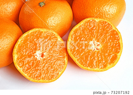 Mikansen oranges - Stock Photo [73207192] - PIXTA