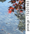 紅葉 73207463