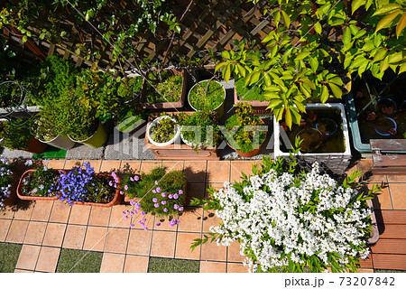 お花いっぱいのルーフバルコニーでのんびり時間 お花いっぱいのルーフバルコニーでのんびり時間 73207842