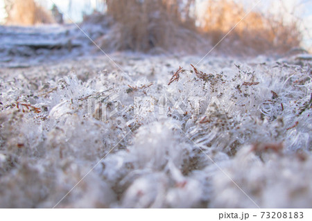 宍粟50名山　雪化粧の東山（兵庫県宍粟市波賀町上野 字上東山）※作品コメント欄に撮影位置 73208183