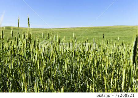 agriculture and agriculture for the cultivation of cereals 73208821