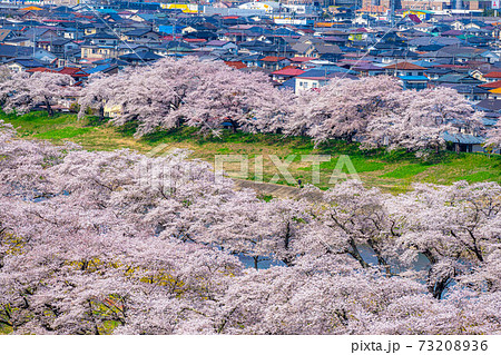 東北の桜の名所 一目千本桜 宮城県 の写真素材 7336