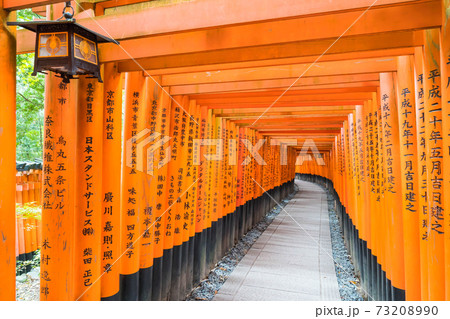 the red torii gates walkway at fushimi inari taisha shrine in Kyoto. 73208990