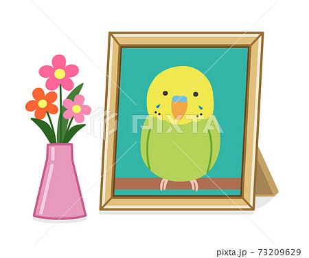 ペットの遺影の写真立て(インコ) イラスト ペットの遺影の写真立て(インコ) イラスト 73209629