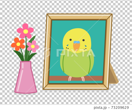 ペットの遺影の写真立て(インコ) イラスト ペットの遺影の写真立て(インコ) イラスト 73209629