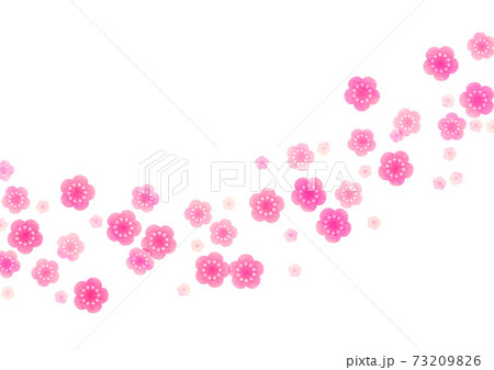 流れるようにピンクの梅の花が咲くイラストのイラスト素材 7396