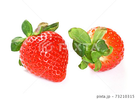 いちご(あまりん) いちご(あまりん) 73210315