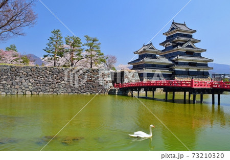 青空に映える信州 松本城 青空に映える信州 松本城 73210320
