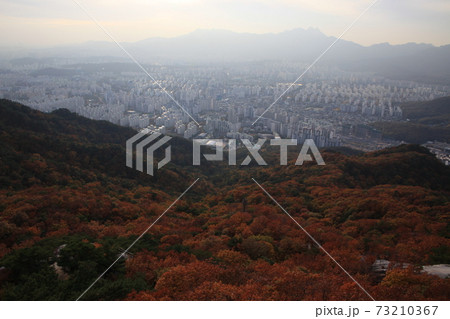 夕暮れ 夕焼け 都市 73210367