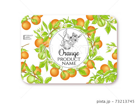 Orange Ripe citrus. Template for product label 73213745