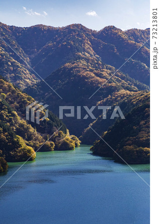 見はらしの丘から晩秋の奥多摩湖を望む 見はらしの丘から晩秋の奥多摩湖を望む 73213801