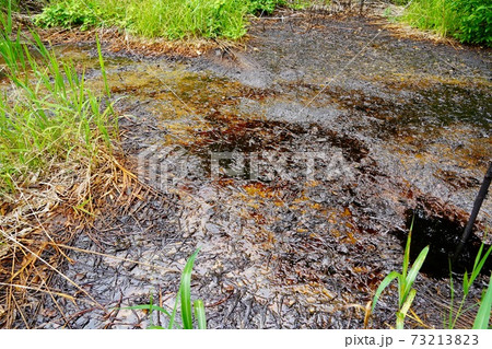 石狩油田跡地の原油の吹き出し口 石狩油田跡地の原油の吹き出し口 73213823